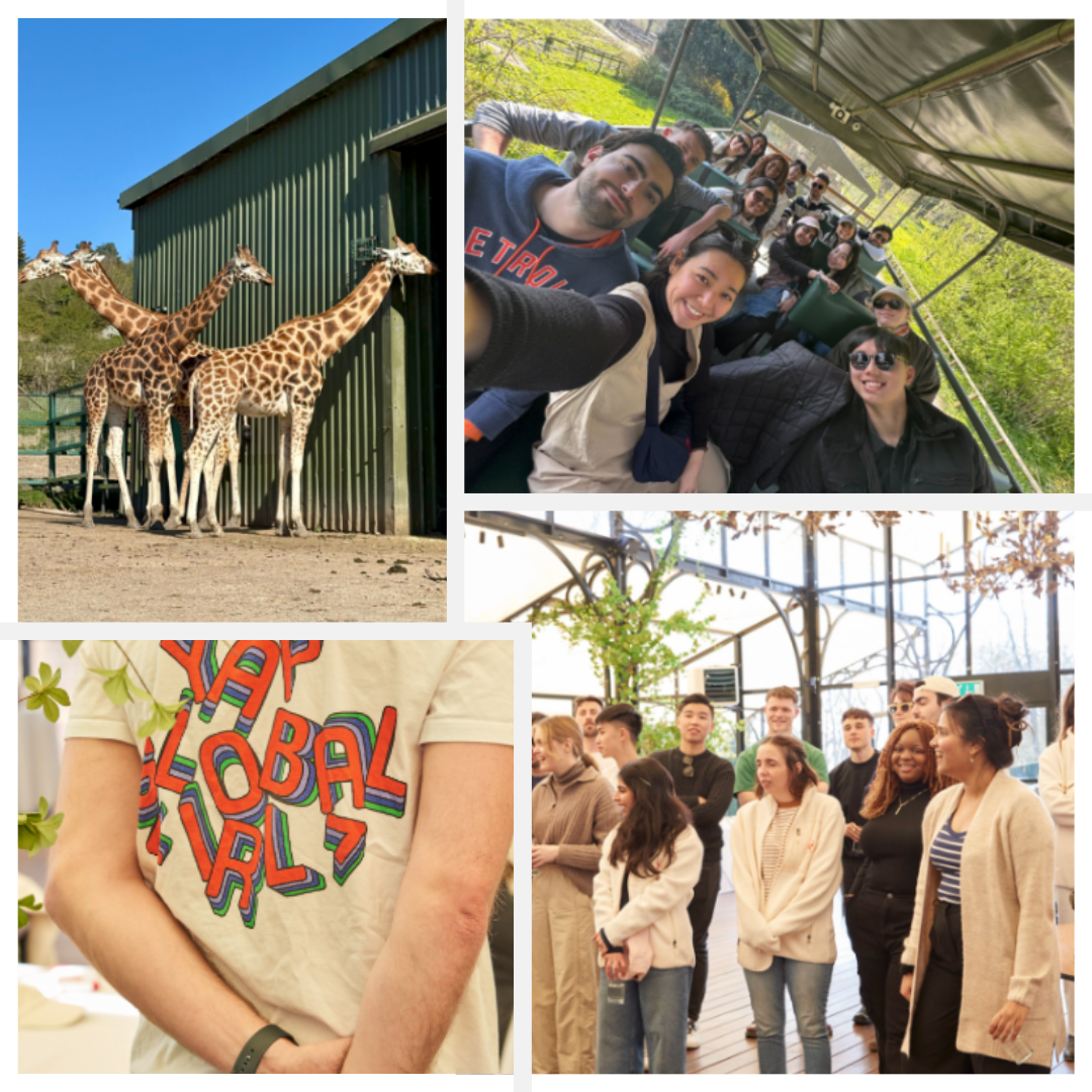 Out in the Wild: A Look at YAP Global’s 2025 Offsite 2 Offsite blog collage